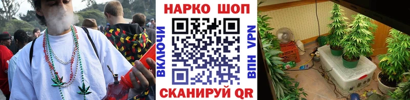 Наркота Грайворон Cocaine  Мефедрон  Бошки Шишки 